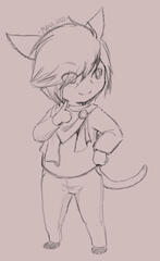 Sketch